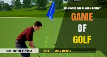 Has Anyone Ever Played a Perfect Game of Golf?