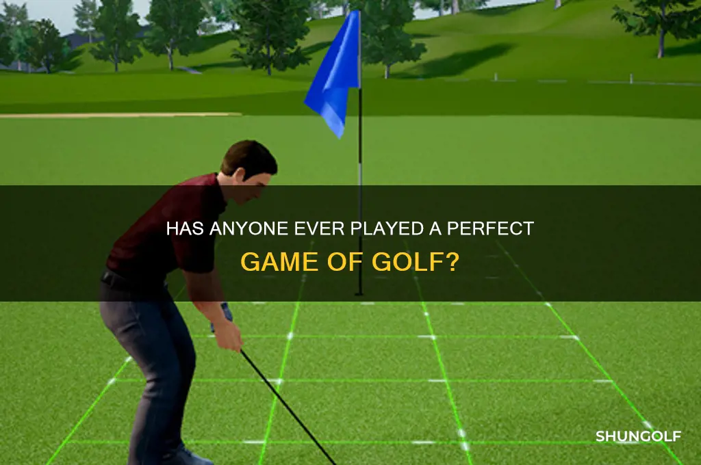 has anyone ever played a perfect game of golf