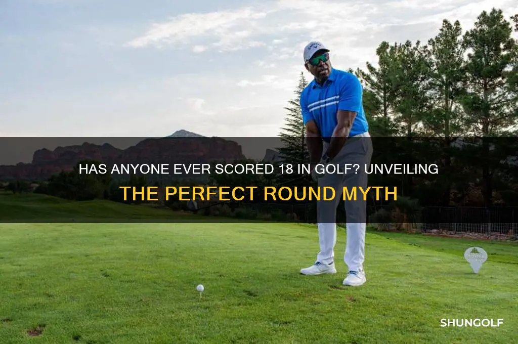 has anyone ever scored 18 in golf