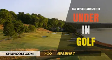 Exploring Golf's Elite: The Quest for an 18-Under Round