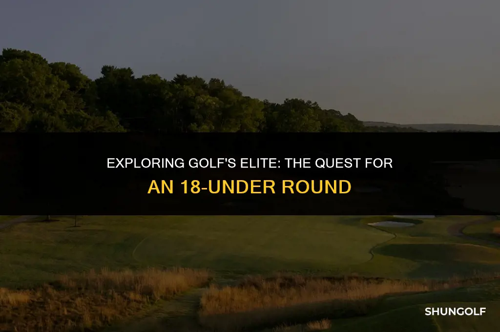 has anyone ever shot 18 under in golf