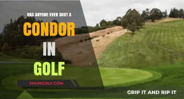 Has Anyone Ever Shot a Condor in Golf?