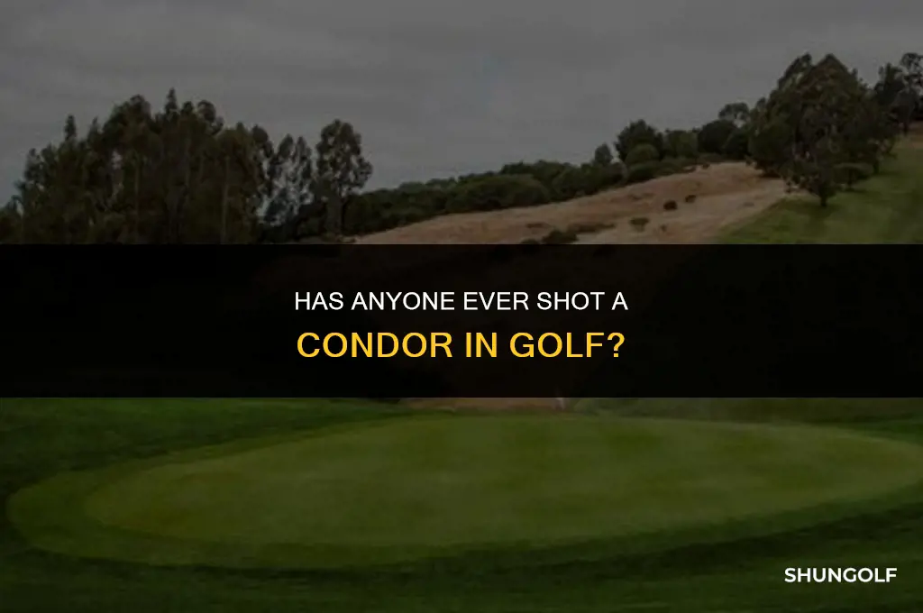 has anyone ever shot a condor in golf