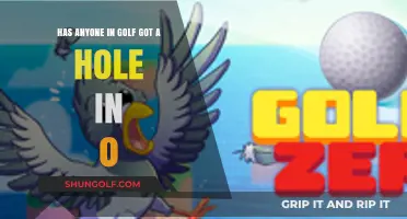 Golf's Impossible Feat: Has Anyone Ever Achieved a Hole-in-Zero?
