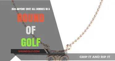 Golf's Rare Feat: Achieving a Perfect Round of Birdies