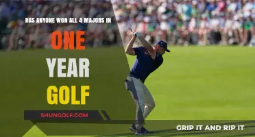 Has Any Golfer Achieved the Grand Slam in a Single Year?