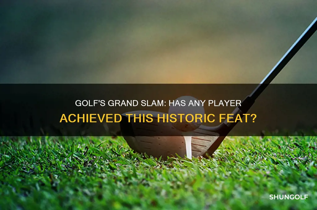 has anyone won golf grand slam