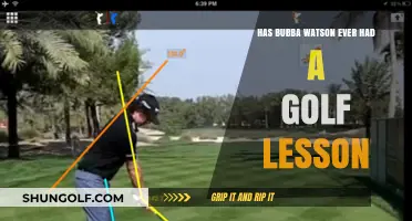 Has Bubba Watson Ever Had a Golf Lesson? Unveiling His Unique Swing