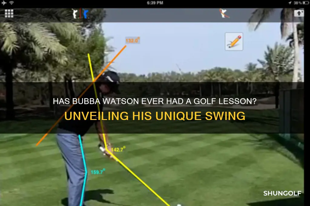 has bubba watson ever had a golf lesson