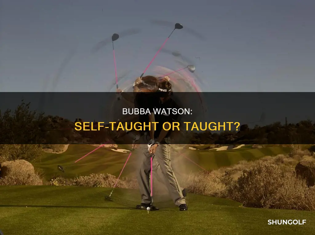 has bubba watson had golf lessons