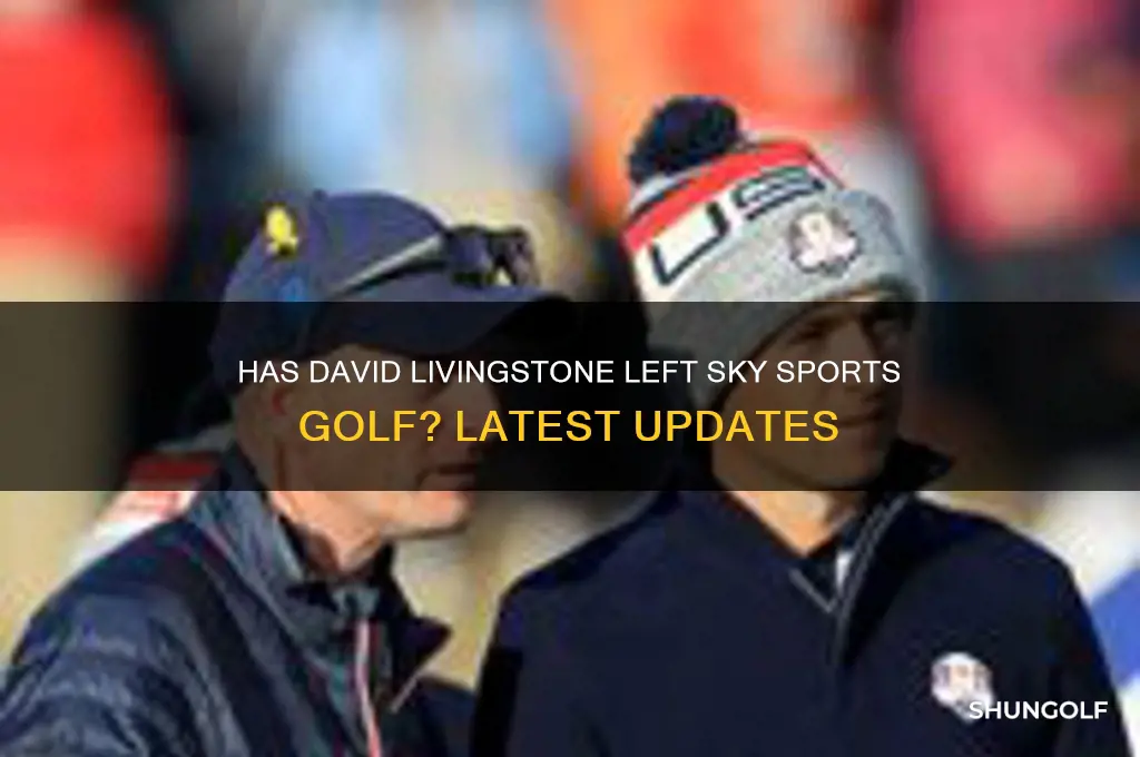 has david livingstone left sky sports golf