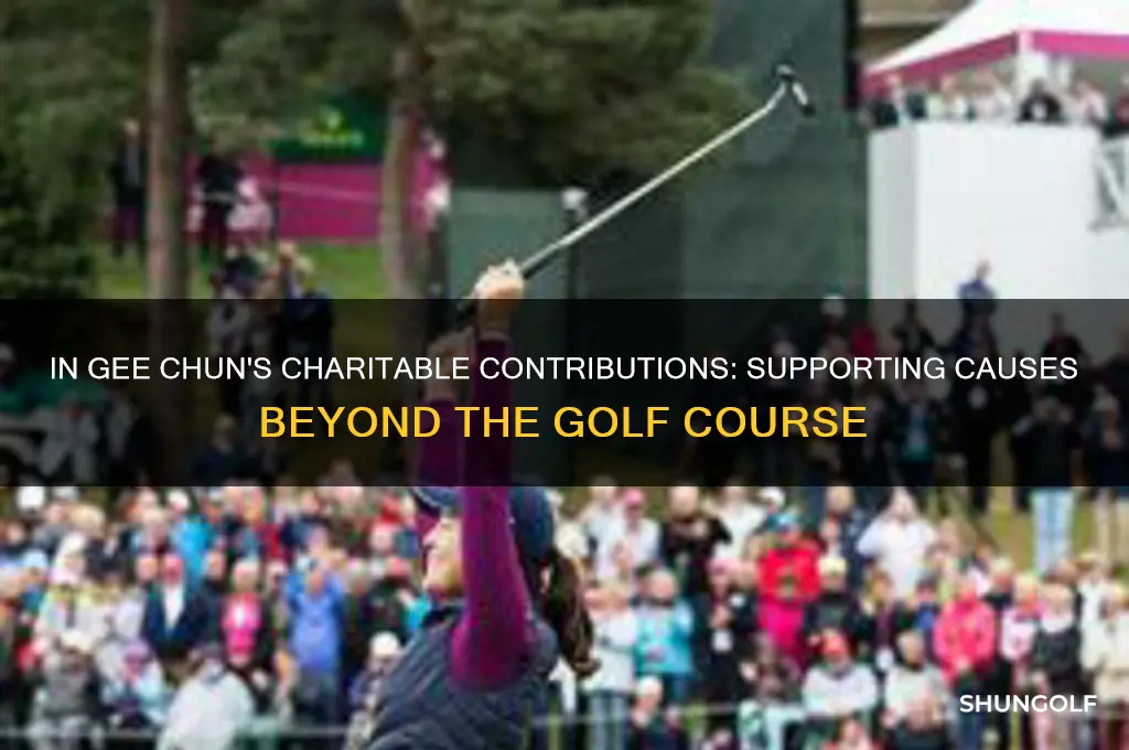 has golfer in gee chun donated money to charity organizations