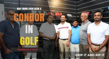 Has a Condor Ever Been Achieved in Golf History?