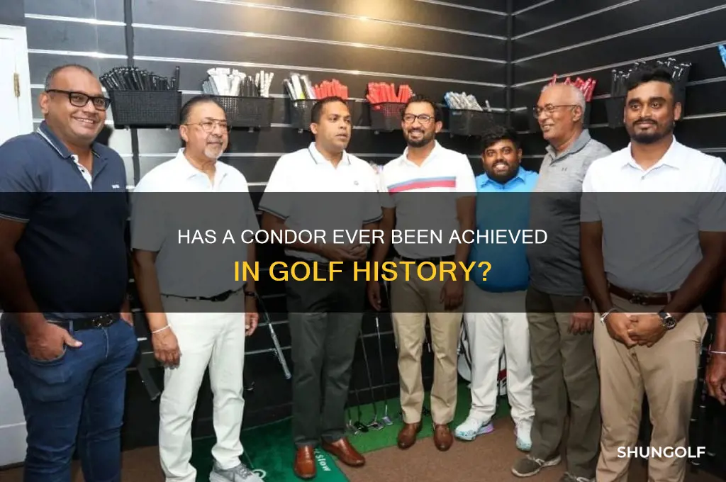 has there ever been a condor in golf