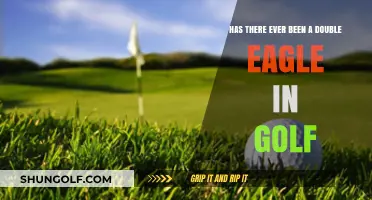 Has Golf Ever Witnessed a Double Eagle: Unveiling the Albatross