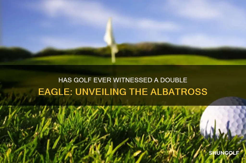 has there ever been a double eagle in golf