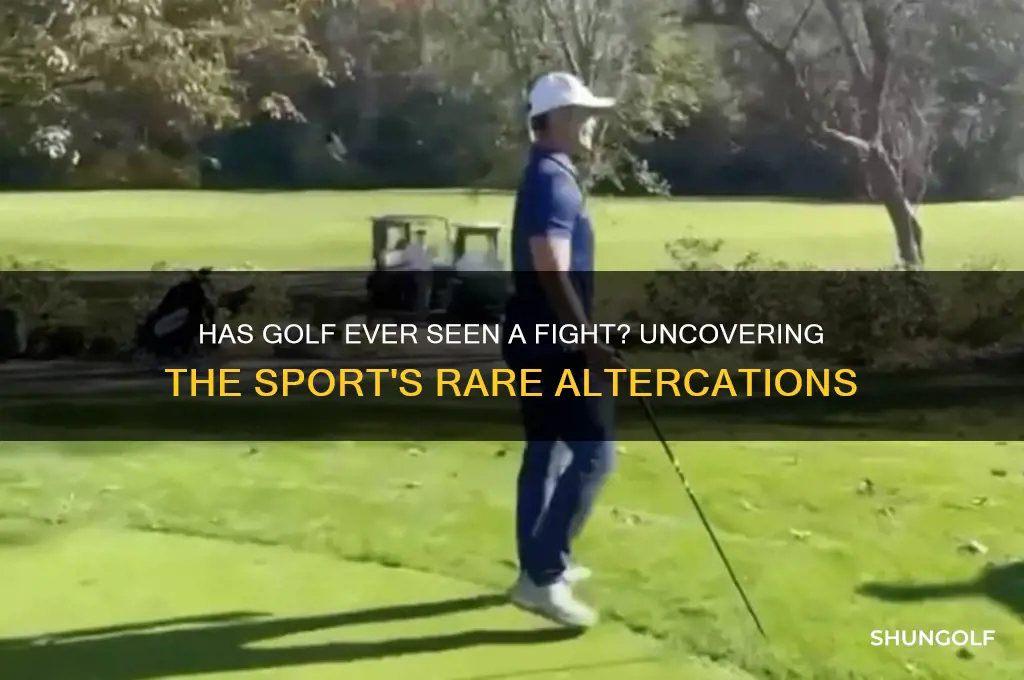 has there ever been a fight in golf