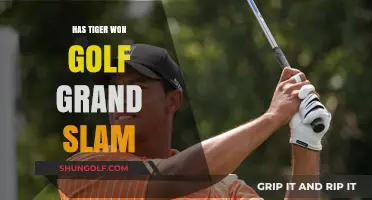 Has Tiger Woods Achieved Golf's Grand Slam? A Detailed Analysis