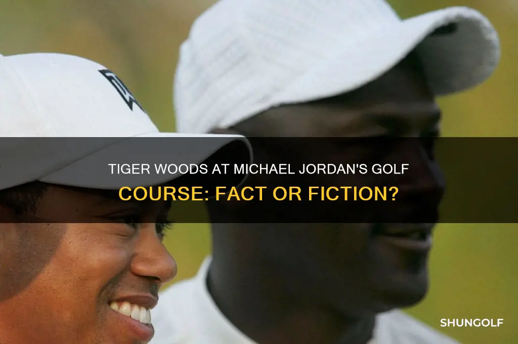 has tiger woods played at michael jordan