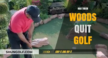 Tiger Woods' Golf Career: Over or Not?