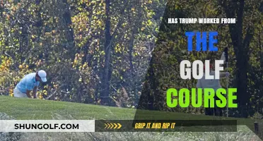 Trump's Golf Course Presidency: Work or Leisure?
