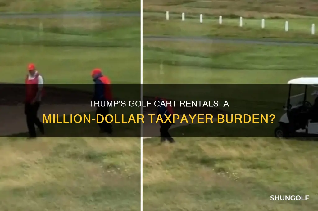 has trump