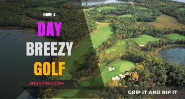 Golfing Bliss: A Breezy Day on the Course