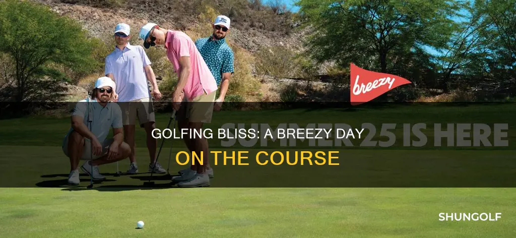 have a day breezy golf