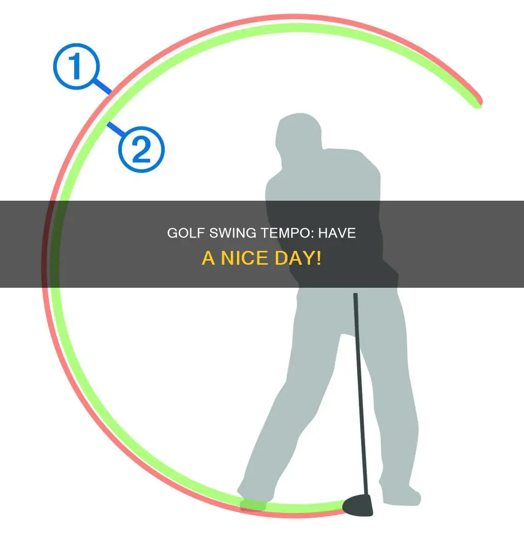have a nice day golf tempo