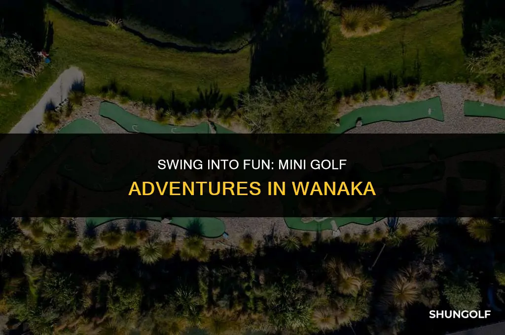 have a shot mini golf wanaka