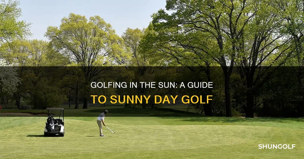 have a sunny day golf