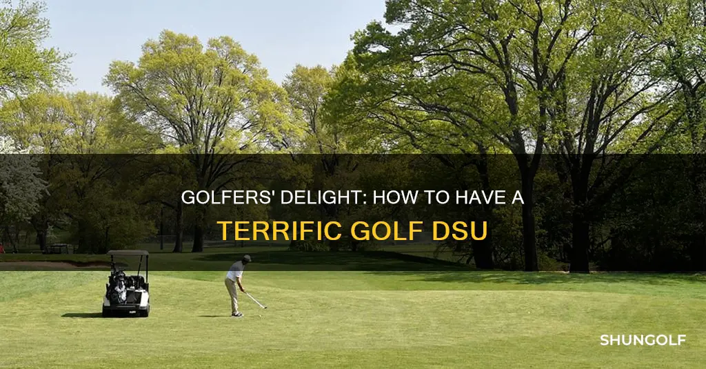 have terrific golf dsu