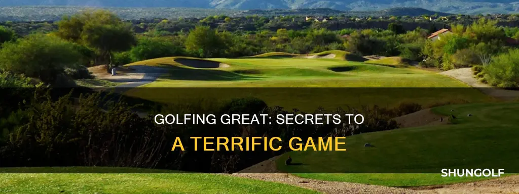 have terrific golf