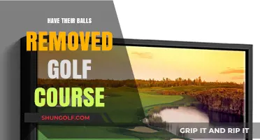Golf Course Controversy: The Debate Over Removing Hazardous Obstacles