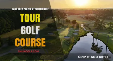 Exploring World Golf Tour: Have They Played at This Virtual Course?