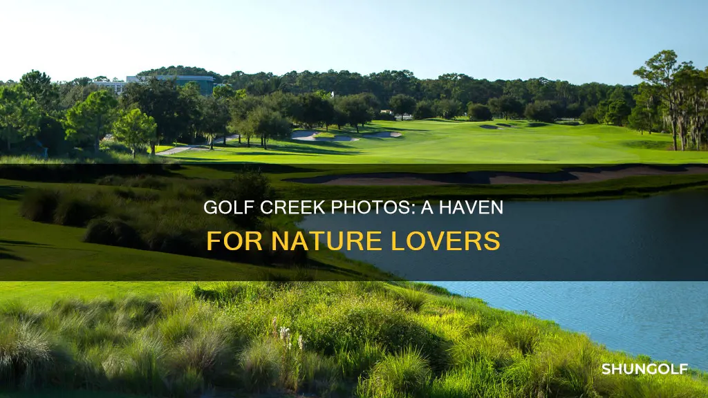 haven at golf creek photos