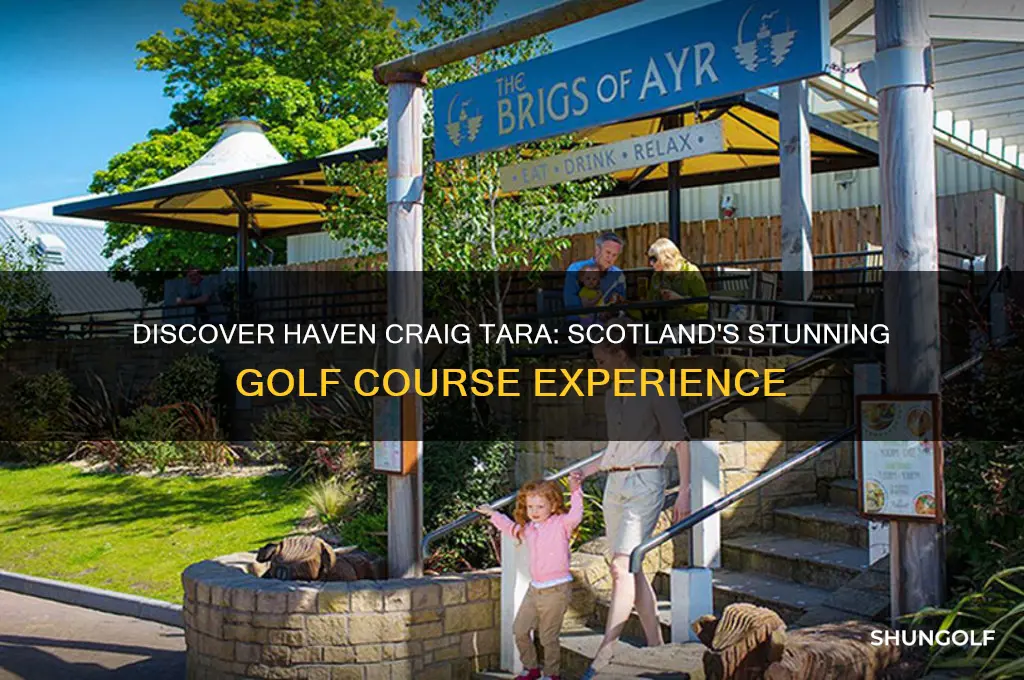 haven craig tara golf course