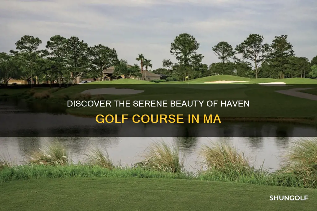 haven golf course ma