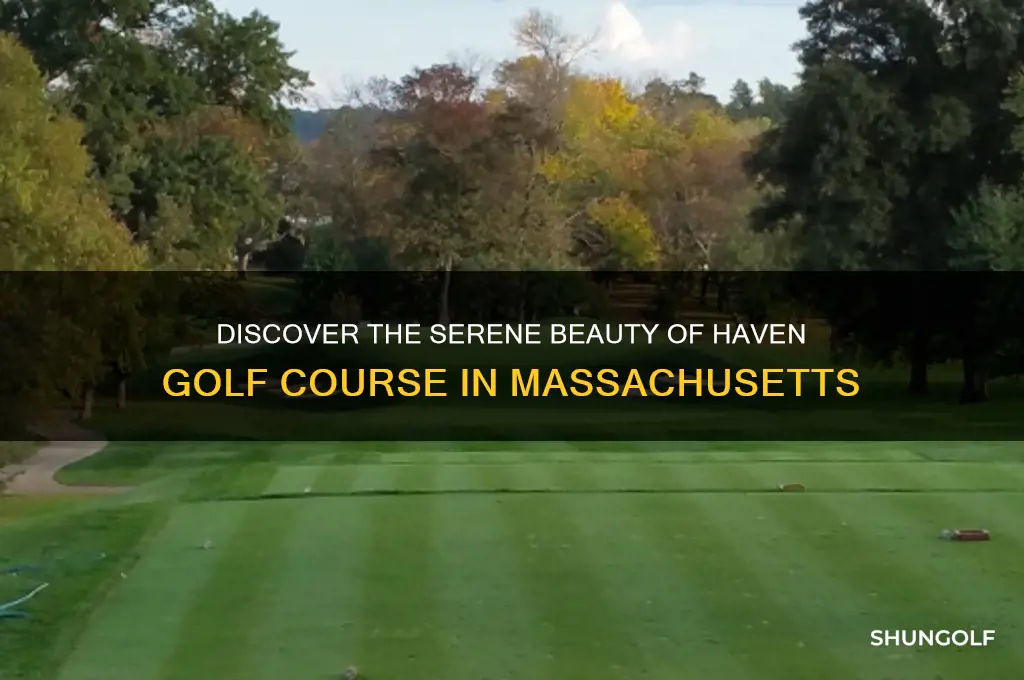 haven golf course mass