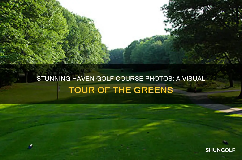 haven golf course photos