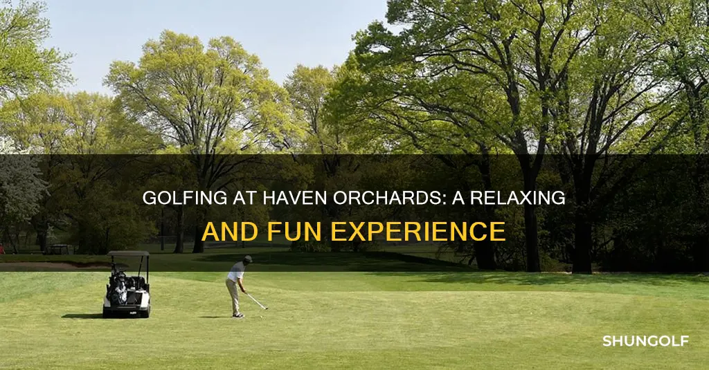 haven orchards golf