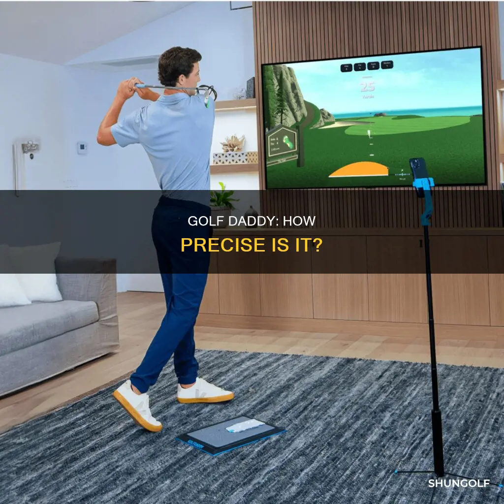 how accurate is golf daddy