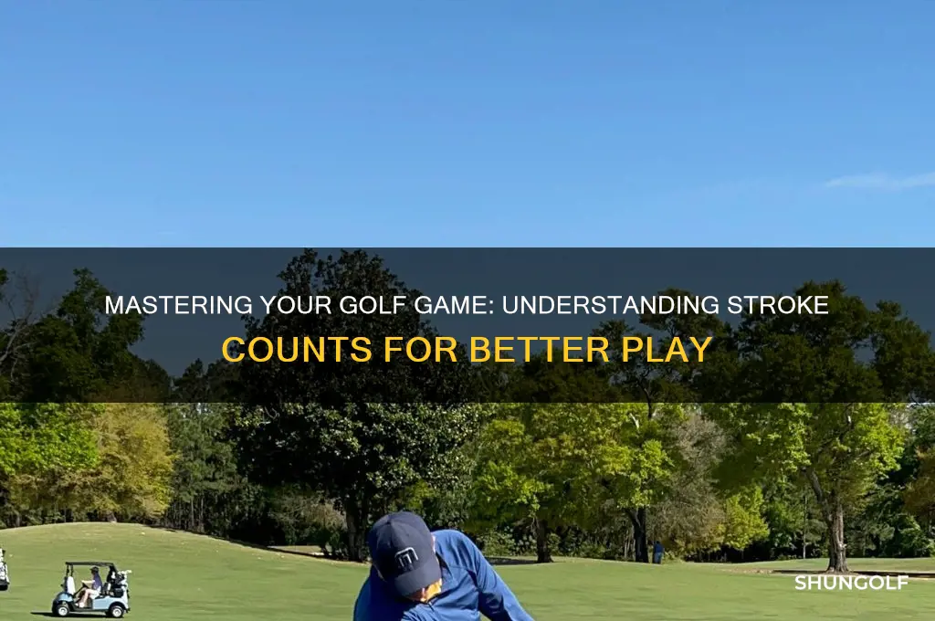 how amny strokes when playing golf