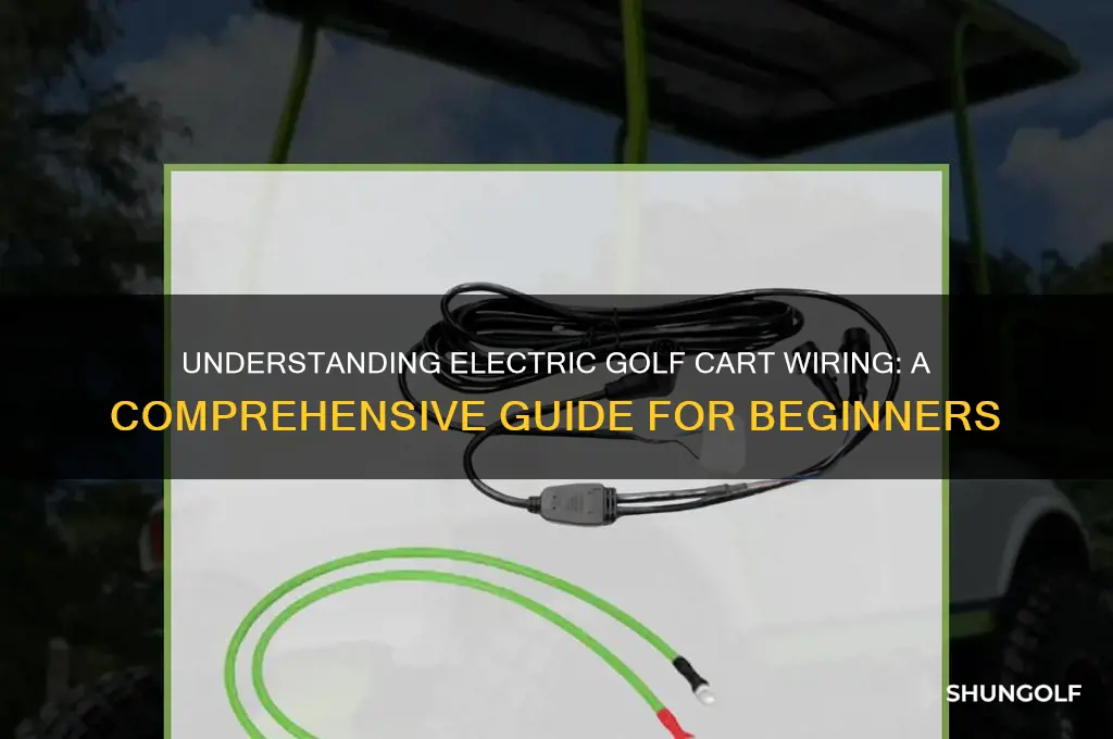 how are electric golf carts wired