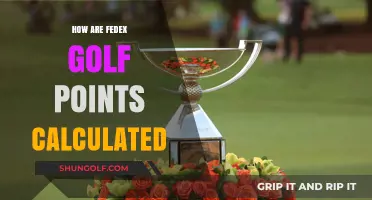 FedEx Cup Points: Calculating the PGA Tour's Playoff Race
