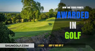 Understanding FedEx Cup Points Allocation in Professional Golf Tournaments