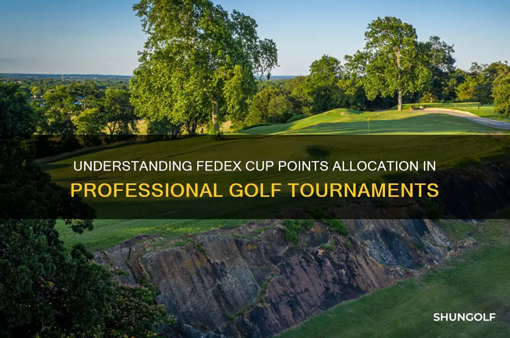 how are fedex points awarded in golf