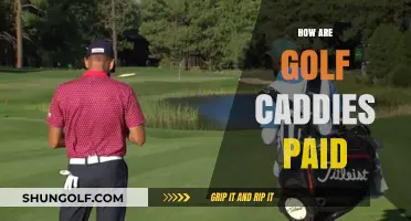 Golf Caddies: What's in the Bag?