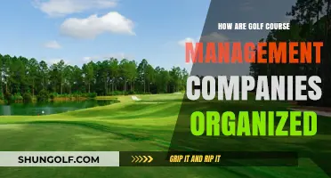 Understanding the Organizational Structure of Golf Course Management Companies