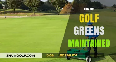 Golf Greens Maintenance: The Secrets to Perfect Turf